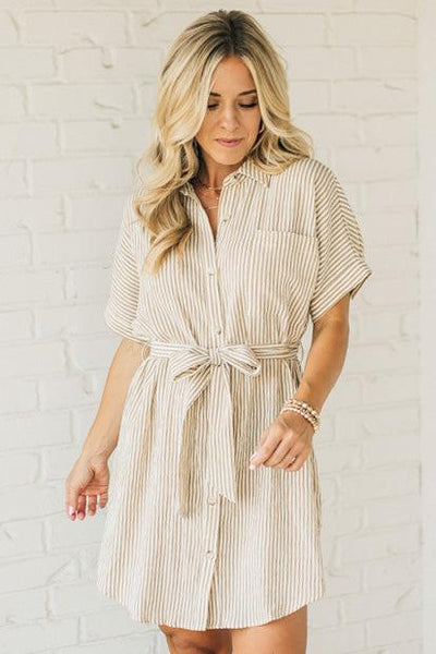 Theo Premium Striped Shirt Dress